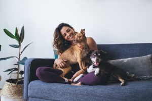 Pet-Friendly Apartment Rentals Edmonton